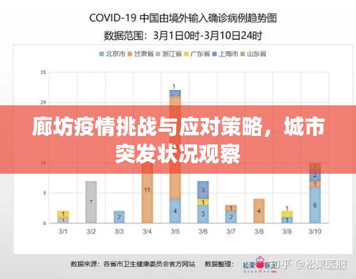 廊坊疫情挑战与应对策略,城市突发状况观察