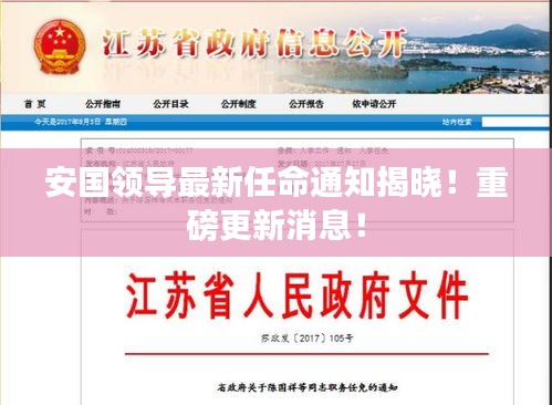 安国领导最新任命通知揭晓!重磅更新消息!