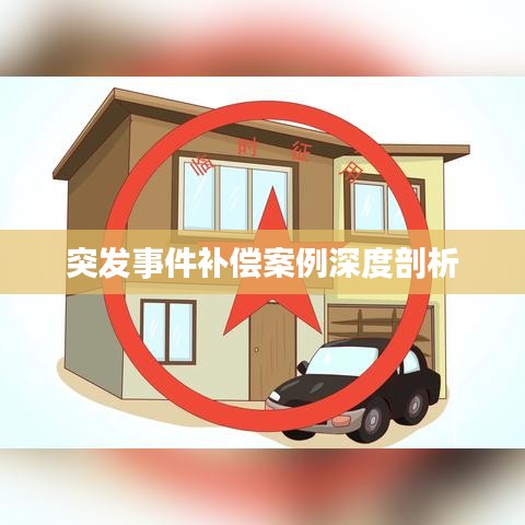 突发事件补偿案例深度剖析