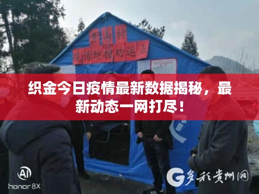 织金今日疫情最新数据揭秘,最新动态一网打尽!