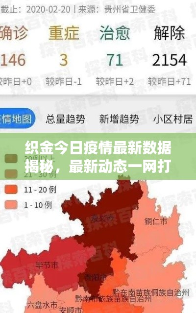 织金今日疫情最新数据揭秘,最新动态一网打尽!