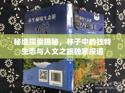 秘境探索揭秘,林子中的独特生态与人文之旅独家报道