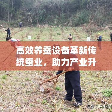 高效养蚕设备革新传统蚕业,助力产业升级发展
