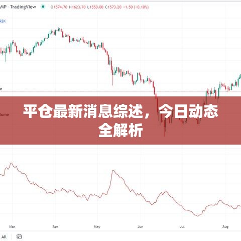 平仓最新消息综述,今日动态全解析