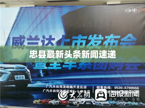 飞扬拨扈 第3页