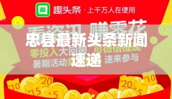忠县最新头条新闻速递