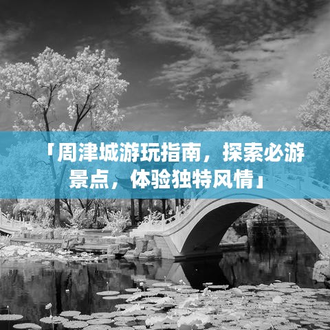 「周津城游玩指南,探索必游景点,体验独特风情」
