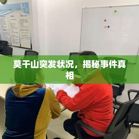 莫干山突发状况,揭秘事件真相