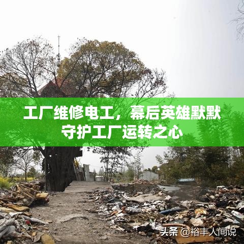 穷鸟入怀 第3页