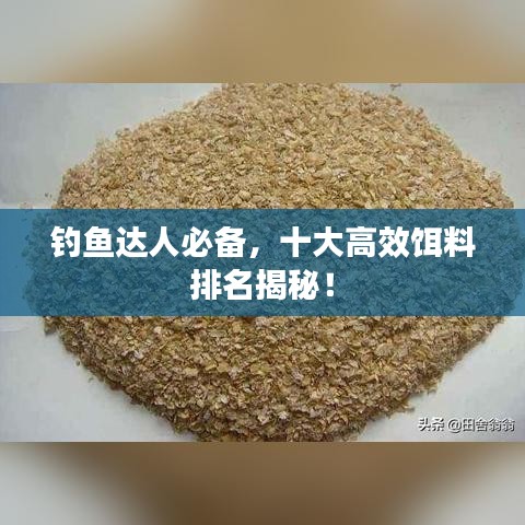 钓鱼达人必备,十大高效饵料排名揭秘!