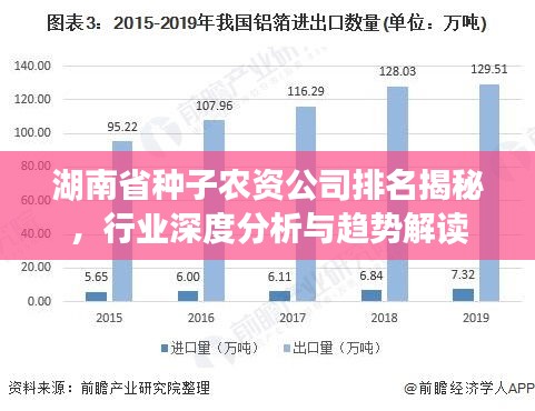 湖南省种子农资公司排名揭秘,行业深度分析与趋势解读