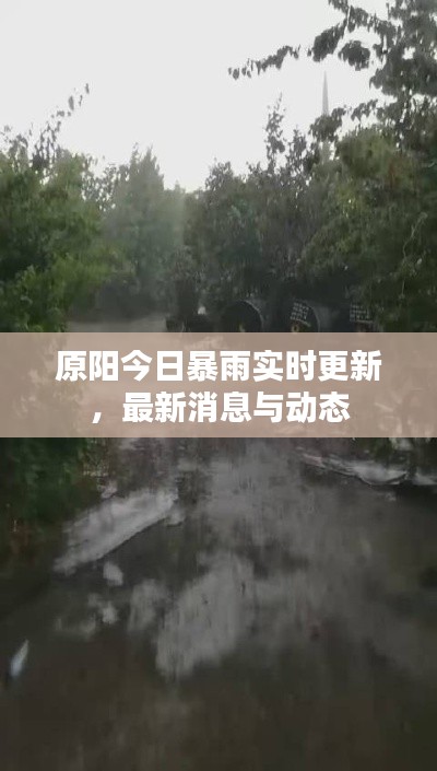 原阳今日暴雨实时更新,最新消息与动态