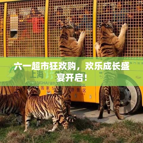 六一超市狂欢购,欢乐成长盛宴开启!