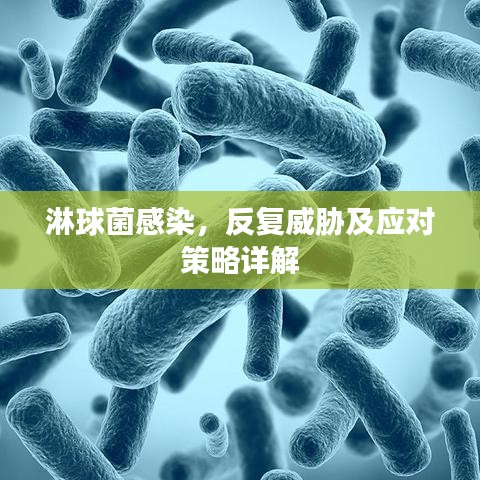 淋球菌感染,反复威胁及应对策略详解