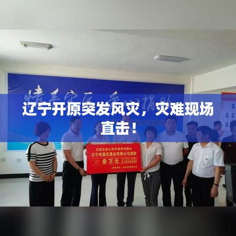 辽宁开原突发风灾,灾难现场直击!