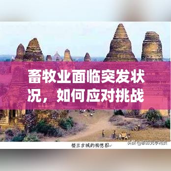 畜牧业面临突发状况,如何应对挑战,保障牛群健康?