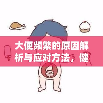 大便频繁的原因解析与应对方法,健康困扰不再来