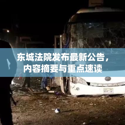 东城法院发布最新公告,内容摘要与重点速读