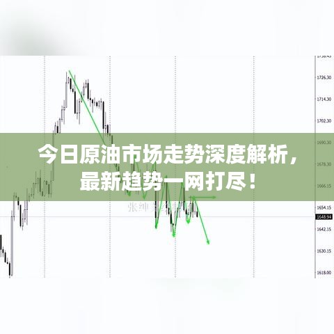 今日原油市场走势深度解析,最新趋势一网打尽!