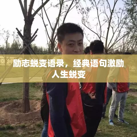 励志蜕变语录,经典语句激励人生蜕变