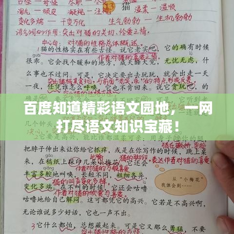 百度知道精彩语文园地,一网打尽语文知识宝藏!