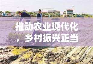 推动农业现代化,乡村振兴正当时,农业农村415宣传行动开启!