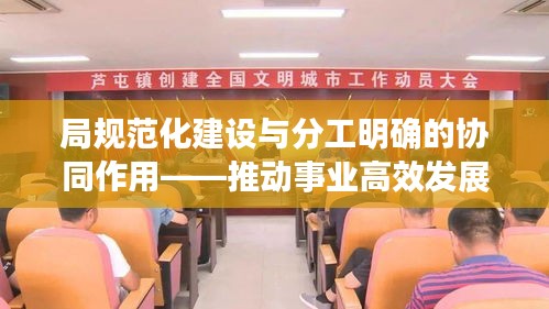 局规范化建设与分工明确的协同作用——推动事业高效发展的核心动力