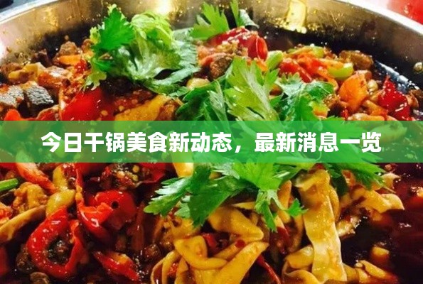 今日干锅美食新动态,最新消息一览