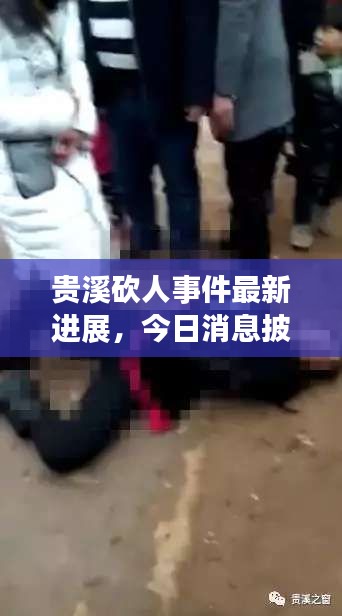 贵溪砍人事件最新进展,今日消息披露,事件细节揭秘!