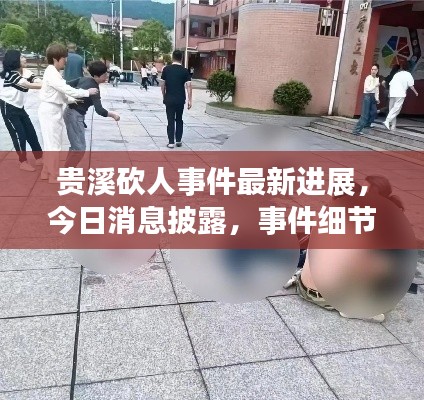 贵溪砍人事件最新进展,今日消息披露,事件细节揭秘!