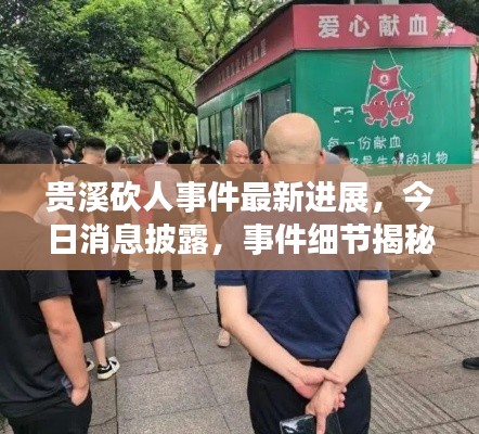 贵溪砍人事件最新进展,今日消息披露,事件细节揭秘!