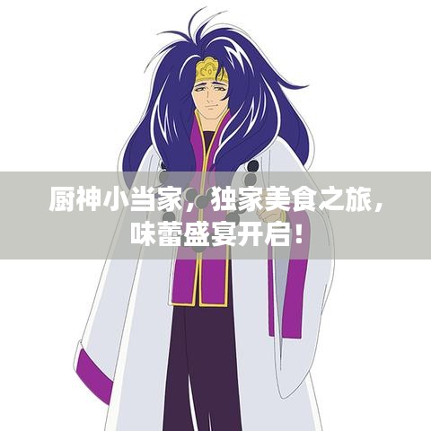 厨神小当家,独家美食之旅,味蕾盛宴开启!