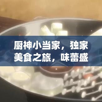 厨神小当家,独家美食之旅,味蕾盛宴开启!