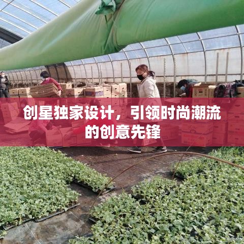 创星独家设计,引领时尚潮流的创意先锋