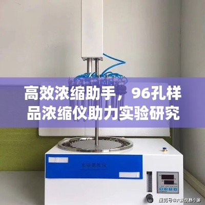 高效浓缩助手,96孔样品浓缩仪助力实验研究突破