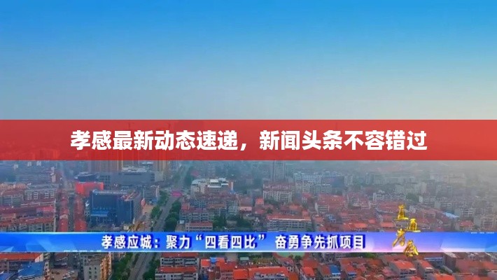 孝感最新动态速递,新闻头条不容错过
