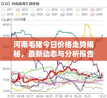 河南毛猪今日价格走势揭秘,最新动态与分析报告