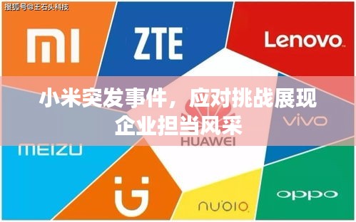 小米突发事件,应对挑战展现企业担当风采