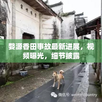 婺源香田事故最新进展,视频曝光,细节披露