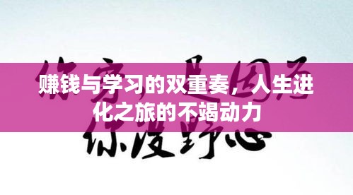 赚钱与学习的双重奏,人生进化之旅的不竭动力