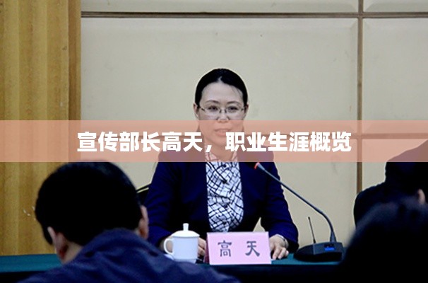 宣传部长高天,职业生涯概览