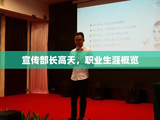 宣传部长高天,职业生涯概览