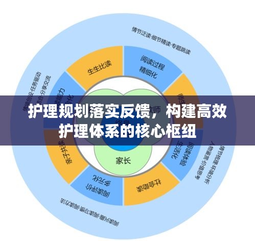 护理规划落实反馈,构建高效护理体系的核心枢纽