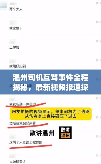 温州司机互骂事件全程揭秘,最新视频报道探究事件始末