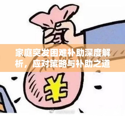 家庭突发困难补助深度解析,应对策略与补助之道