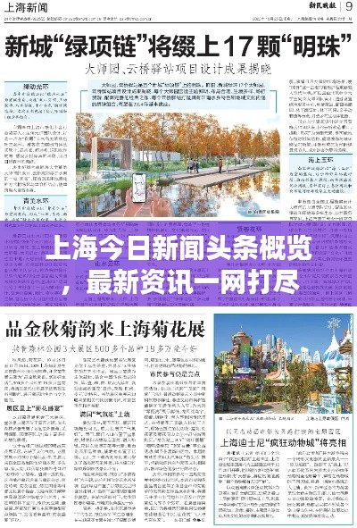 上海今日新闻头条概览,最新资讯一网打尽