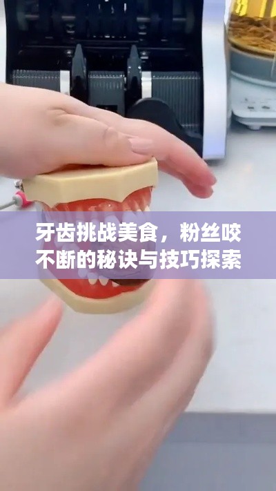 牙齿挑战美食,粉丝咬不断的秘诀与技巧探索
