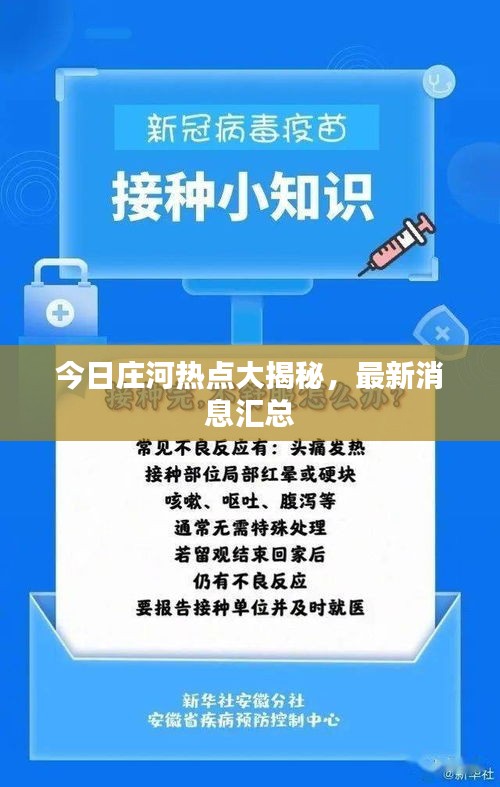 今日庄河热点大揭秘,最新消息汇总