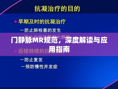 门静脉MR规范,深度解读与应用指南