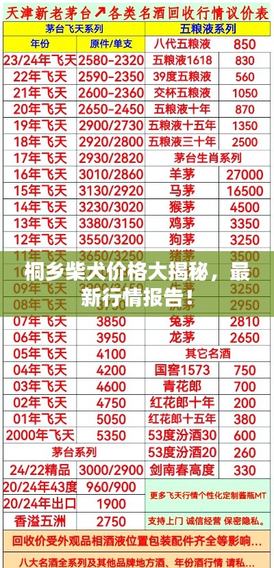 桐乡柴犬价格大揭秘,最新行情报告!